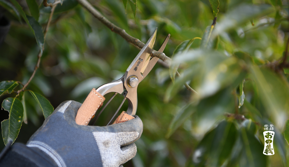 ONOYOSHI Pruning Shears 200mm For Left Hander, Gardening Scissors Ha –  Honmamon-Japan